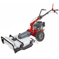 Eurosystems P55 - Petrol Brush Cutter - Falciatutto  PRO - Loncin 196 cc
