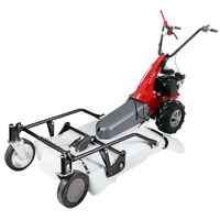 Eurosystems Minieffe M150 RM - Petrol Brush Cutter - Falciatutto PRO V2 - B&amp;S 625 EXi