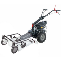 Eurosystems P55 - Petrol Brush Cutter - Falciatutto PRO V2 - HONDA GCVX 170