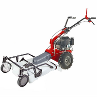 Eurosystems P55 - Petrol Brush Cutter - Falciatutto PRO V2 - Loncin 196 cc