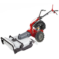 Eurosystems P55 - Petrol Brush Cutter - Falciatutto PRO - Rato RV200