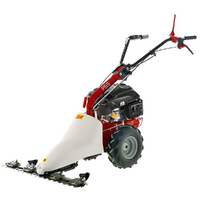 Eurosystems P55 - Multifunctional Two-Blade Mower - Rato RV200