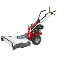 Eurosystems P55 - Petrol Brush Cutter - Rato RV200