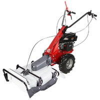 Eurosystems Minieffe - Petrol Brush Cutter - PRO Falciatutto - Rato RV200