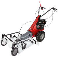 Eurosystems Minieffe - Petrol Brush Cutter - Falciatutto PRO V2 - Rato RV200