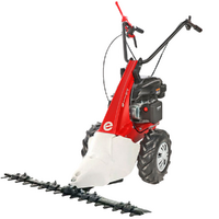 Eurosystems Minieffe RM - Multi-function Mower - Rato RV200