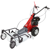 Eurosystems Minieffe RM - Petrol Brush Cutter - Falciatutto PRO V2 - Rato RV200