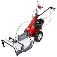 Eurosystems Minieffe RM - Petrol Brush Cutter - Falciatutto PRO - Rato RV200