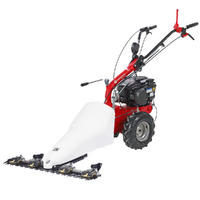 Eurosystems P55 EVO - Multi-function Two-blade Mower - B&amp;S 675 iSi