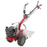 Eurosystems P55 EVO - Petrol Cultivator - B&amp;S 675 iSi