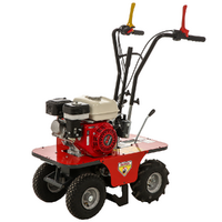 Benassi L300 - Self-propelled Petrol turf cutter - Honda GX160 - 5.5HP