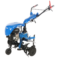 Euromech YET 300 - Petrol and diesel garden tiller - 7 HP - Yagmur R210