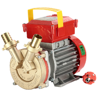 Rover BE-M 25 - Electric transfer pump in bronze - Single-phase - 230V
