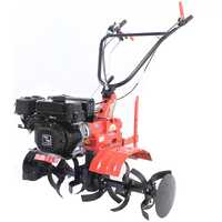 Eurosystems Euro 102 - 7 HP Petrol Garden Tiller - Loncin TM 70 Engine