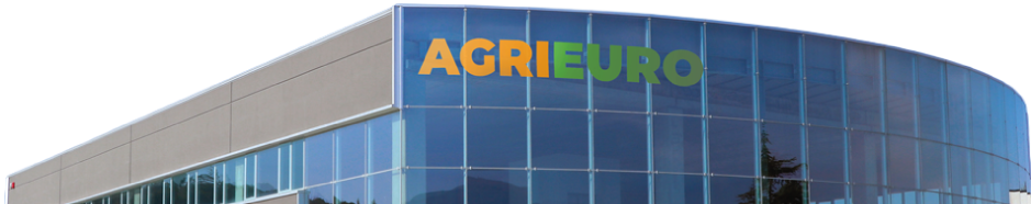 Company no background